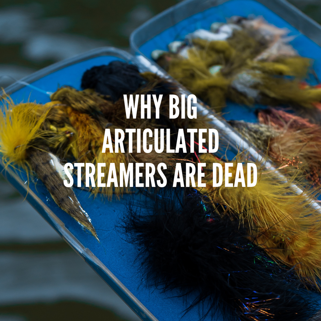 Why Big Articulated Trout Streamers are DEAD