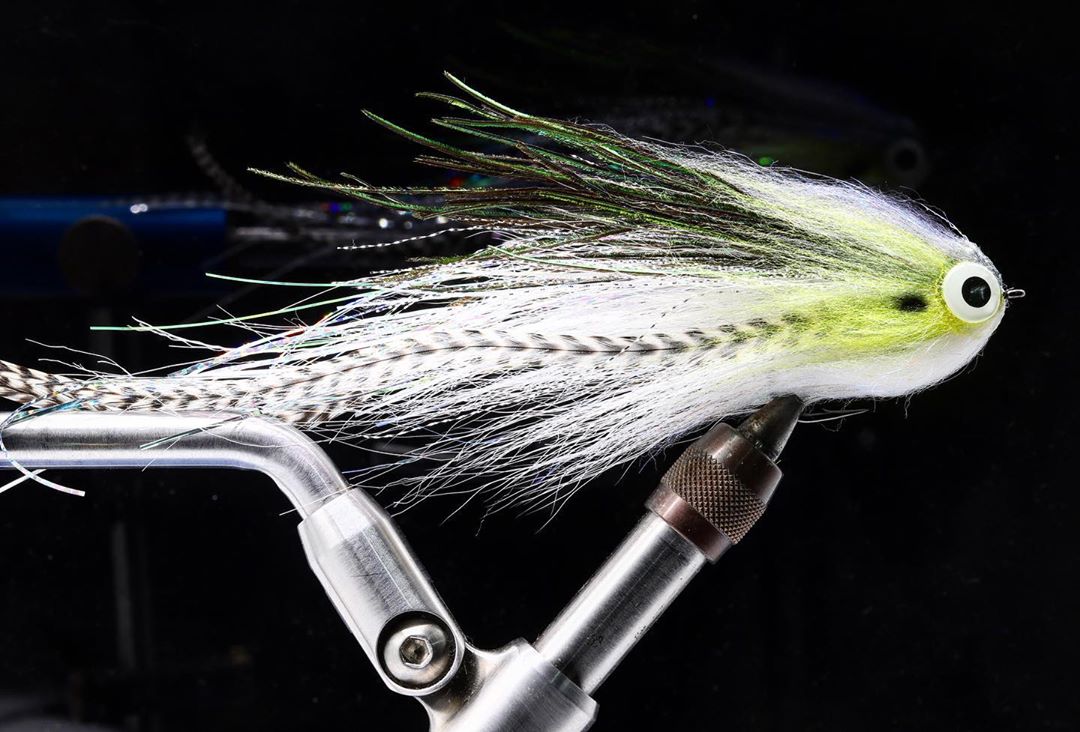 The Versatility of Bucktail, Flash, & Peacock
