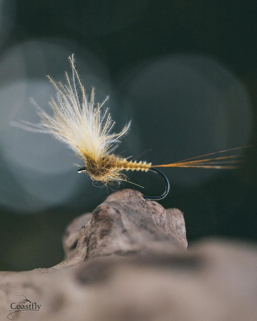 Shared: Yellow Mayfly tutorial by @coastfly