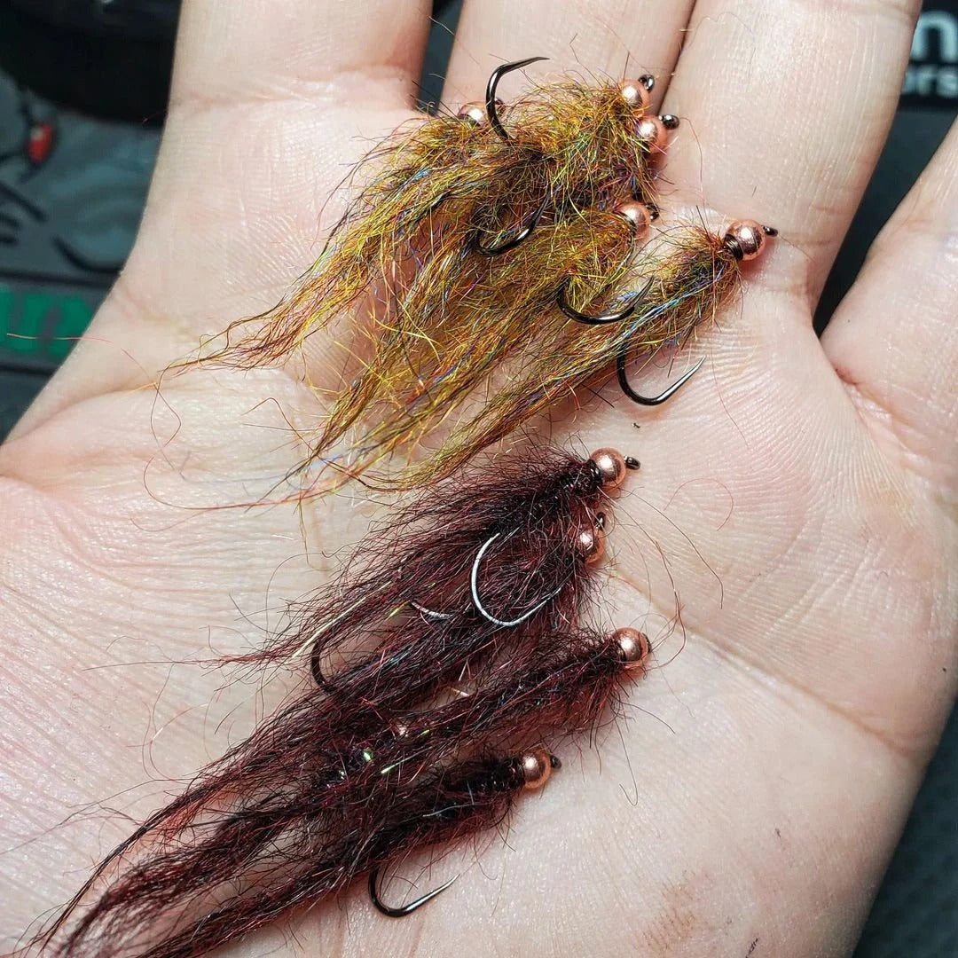 Arizona Mega Simi Seal Leech