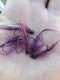 Arizona Mega Simi Seal Leech