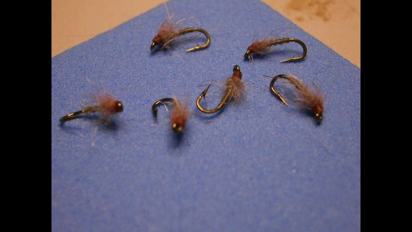 The Musky Midge