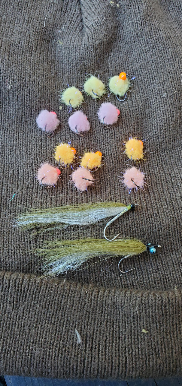 12x Eggstasy size 12 Steelhead Egg Jigs with 2 FREE Lake Erie  Emerald Shiners